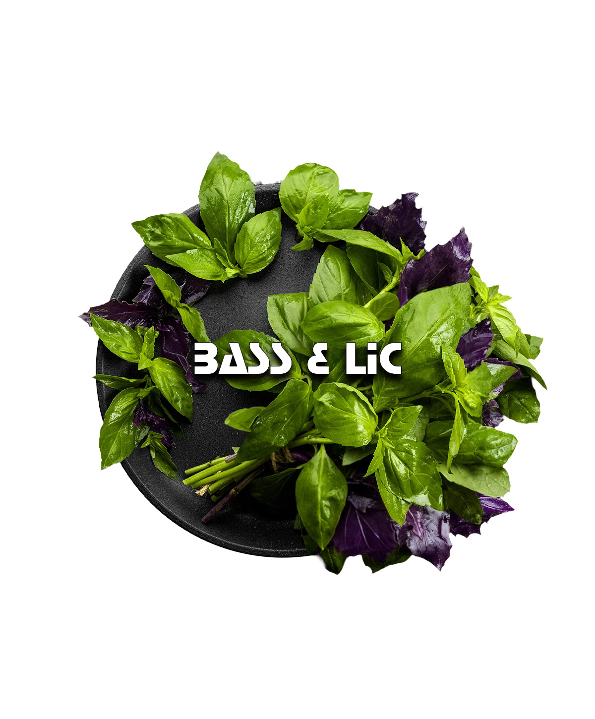 Blackburn Bass&Lic 100g Shisha Tabak Blackburn Bass&Lic 100g Shisha Tabak